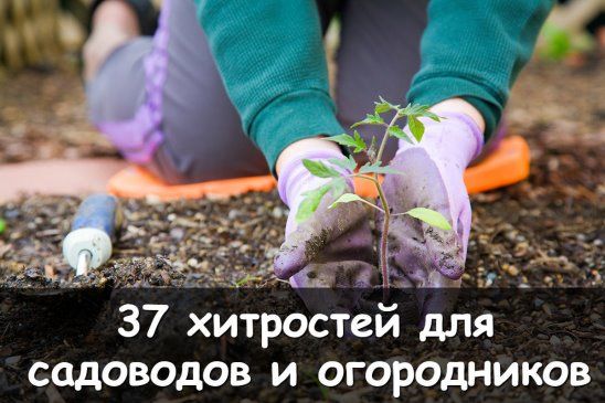 хитрости